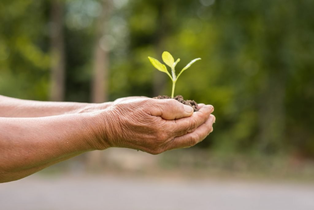 El impacto ambiental de los insecticidas