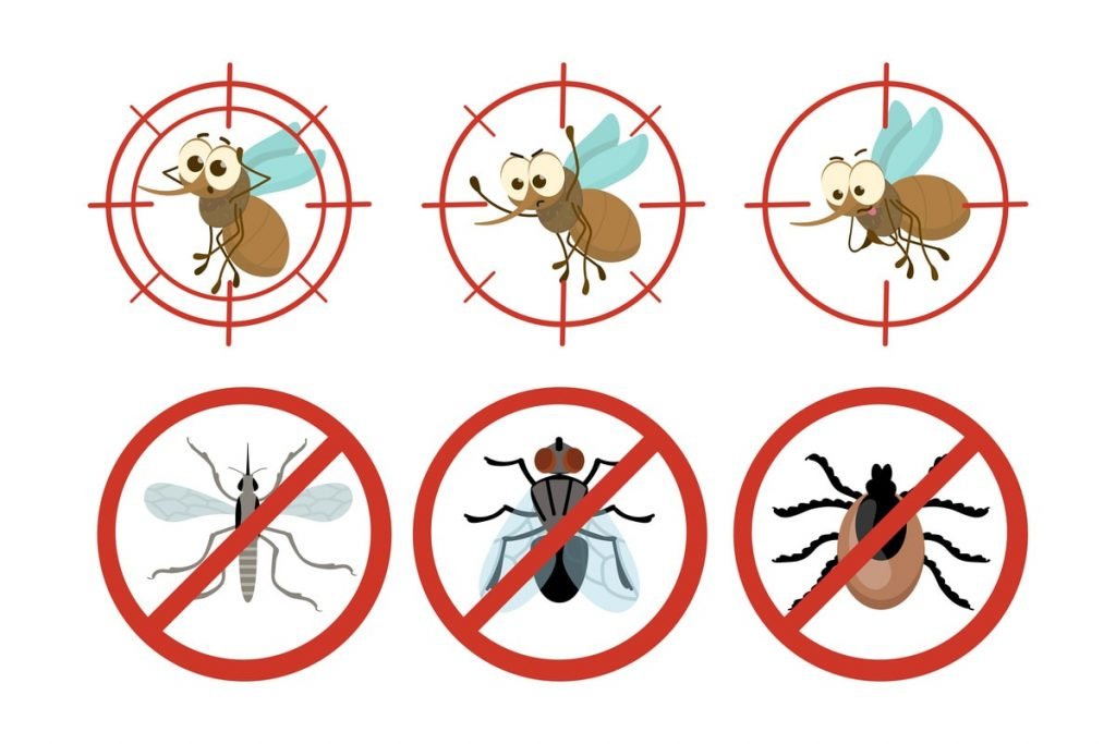 Los Mejores Insecticidas para cada tipo de plaga