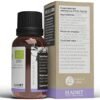 Aceite Esencial de Espliego Bio - 15 ml - Refuerza el Sistema Inmunológico - Efecto Estimulante - Ayuda a Respirar Mejor - Alivia las Molestias de las Picaduras de Insectos - Eladiet - Imagen 3