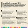 Aceite Esencial de Espliego Bio - 15 ml - Refuerza el Sistema Inmunológico - Efecto Estimulante - Ayuda a Respirar Mejor - Alivia las Molestias de las Picaduras de Insectos - Eladiet - Imagen 4