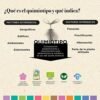 Aceite Esencial de Espliego Bio - 15 ml - Refuerza el Sistema Inmunológico - Efecto Estimulante - Ayuda a Respirar Mejor - Alivia las Molestias de las Picaduras de Insectos - Eladiet - Imagen 6